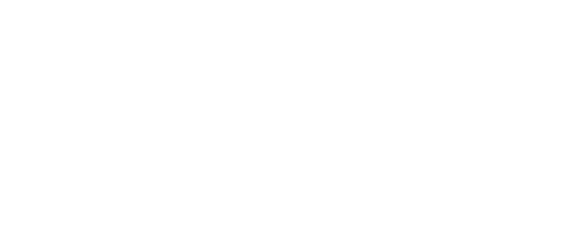 chidzoy’s carpentry & kitchens logo upscaled white